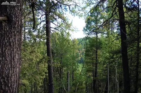 329 Paradiso Rd, Divide, CO 80814 photo 2