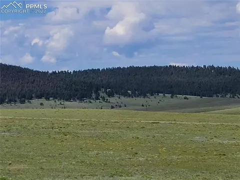 4072 Cimarron Dr, Hartsel, CO 80449 photo 11
