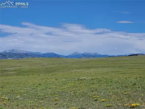 4072 Cimarron Dr, Hartsel, CO 80449 photo 4