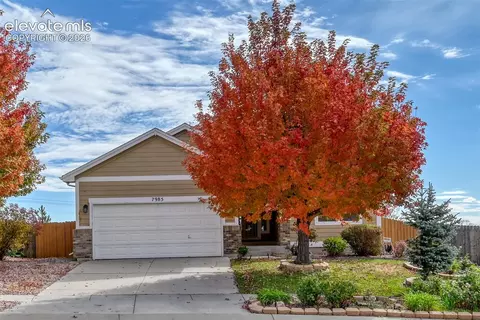 7985 Kettle Drum St, Colorado Springs, CO 80922