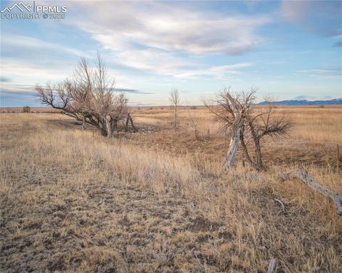15310 Murphy Rd, Peyton, CO 80831 photo 22