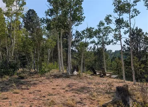 Fairview Drive, Cripple Creek, CO 80813
