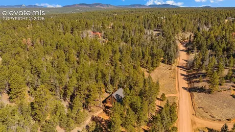1253 E Bison Creek Trl, Divide, CO 80814 photo 41