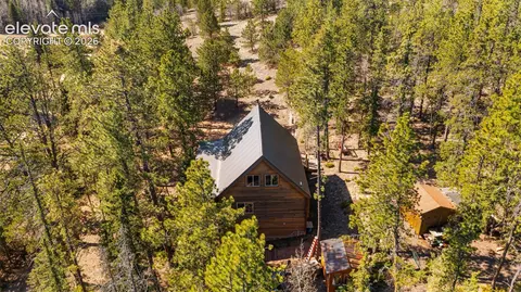 1253 E Bison Creek Trl, Divide, CO 80814 photo 38