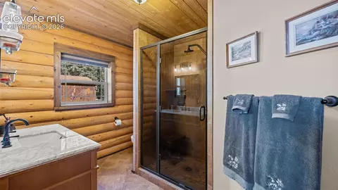 1253 E Bison Creek Trl, Divide, CO 80814 photo 15