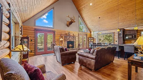 1253 E Bison Creek Trl, Divide, CO 80814 photo 4