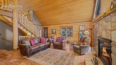1253 E Bison Creek Trl, Divide, CO 80814 photo 9