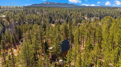 1253 E Bison Creek Trl, Divide, CO 80814 photo 40