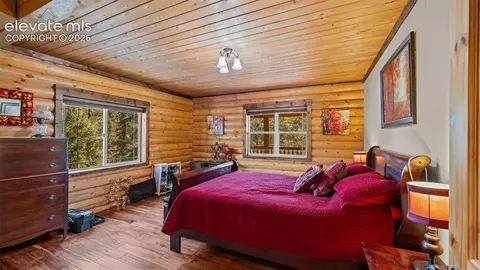 1253 E Bison Creek Trl, Divide, CO 80814 photo 13
