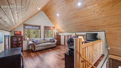 1253 E Bison Creek Trl, Divide, CO 80814 photo 17