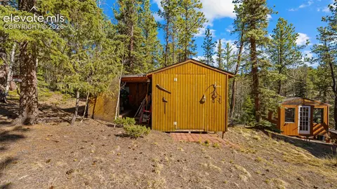 1253 E Bison Creek Trl, Divide, CO 80814 photo 29