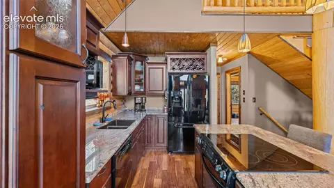 1253 E Bison Creek Trl, Divide, CO 80814 photo 11