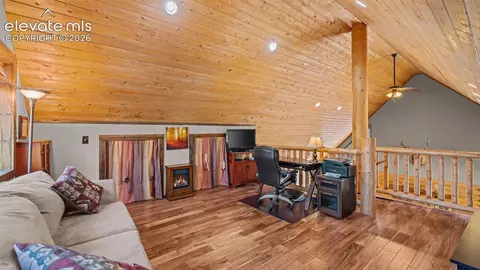 1253 E Bison Creek Trl, Divide, CO 80814 photo 18