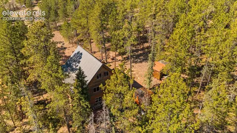 1253 E Bison Creek Trl, Divide, CO 80814 photo 37
