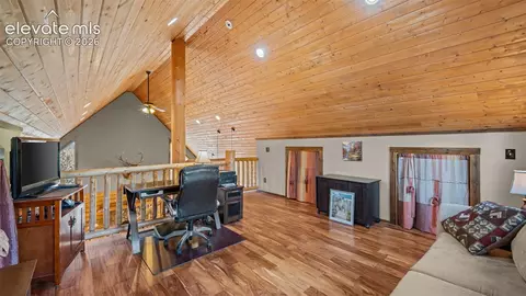 1253 E Bison Creek Trl, Divide, CO 80814 photo 19