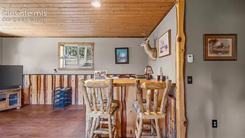 1253 E Bison Creek Trl, Divide, CO 80814 photo 25