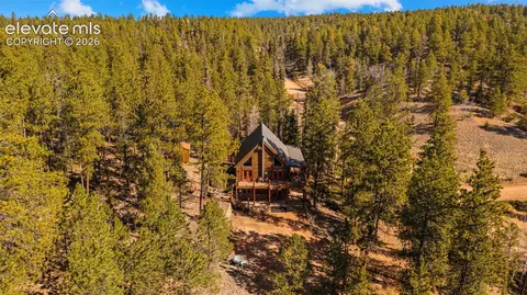 1253 E Bison Creek Trl, Divide, CO 80814 photo 35