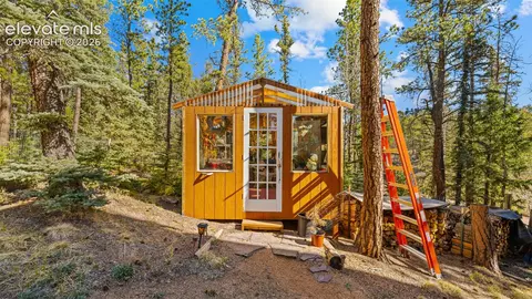 1253 E Bison Creek Trl, Divide, CO 80814 photo 28