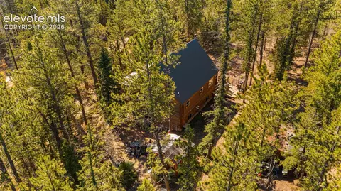 1253 E Bison Creek Trl, Divide, CO 80814 photo 39