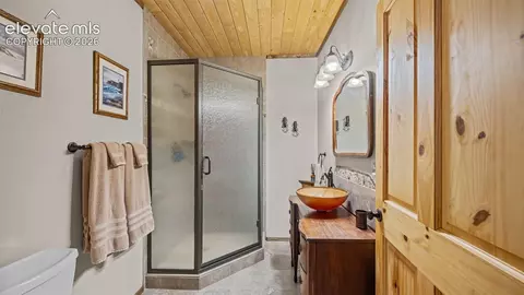 1253 E Bison Creek Trl, Divide, CO 80814 photo 21