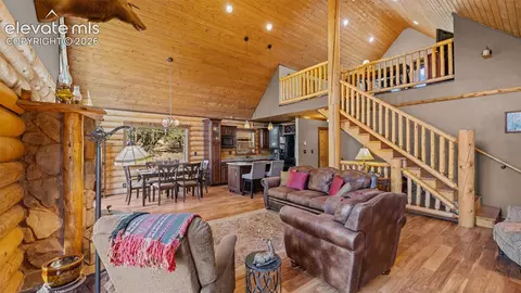 1253 E Bison Creek Trl, Divide, CO 80814 photo 10