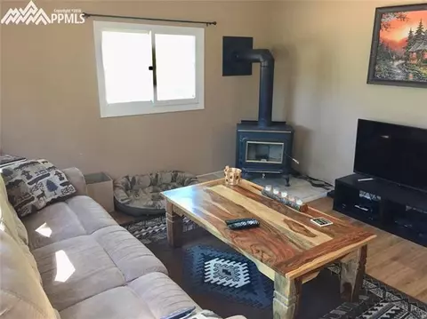 4064 Omer Ln, Divide, CO 80814 photo 8