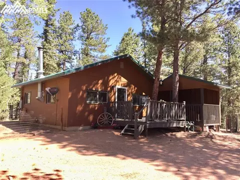 4064 Omer Ln, Divide, CO 80814 photo 2