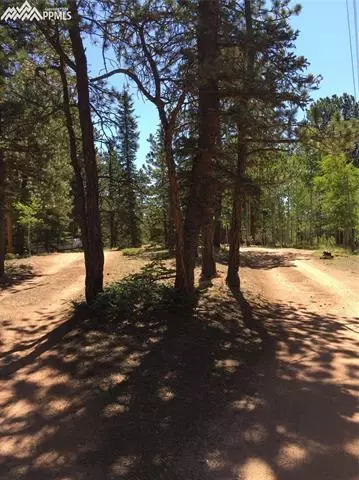 4064 Omer Ln, Divide, CO 80814 photo 7