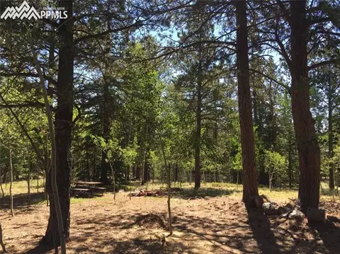 4064 Omer Ln, Divide, CO 80814 photo 6