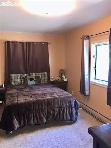 4064 Omer Ln, Divide, CO 80814 photo 15