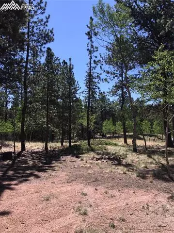 4064 Omer Ln, Divide, CO 80814 photo 18