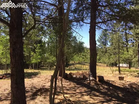 4064 Omer Ln, Divide, CO 80814 photo 17