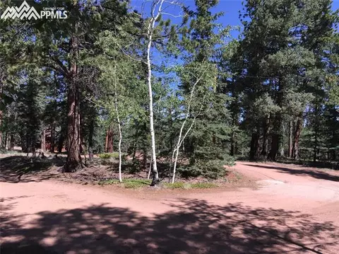 4064 Omer Ln, Divide, CO 80814 photo 19