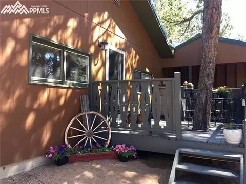 4064 Omer Ln, Divide, CO 80814 photo 4