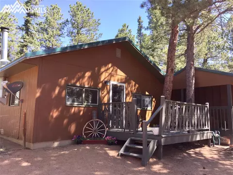 4064 Omer Ln, Divide, CO 80814 photo 1