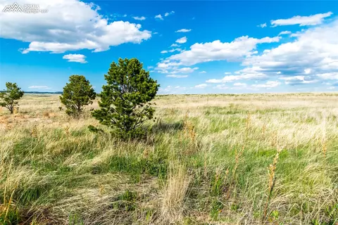 12015 Silver Concho Trl, Elbert, CO 80106 photo 1