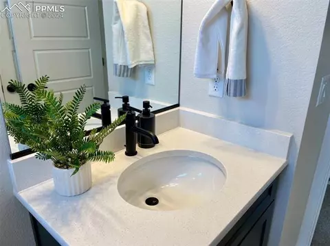 17637 Lemon Rye Loop, Monument, CO 80132 photo 11