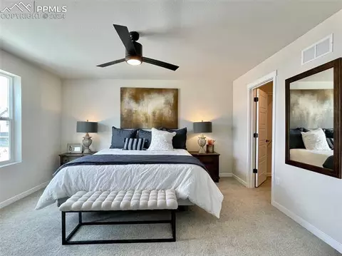 17637 Lemon Rye Loop, Monument, CO 80132 photo 16