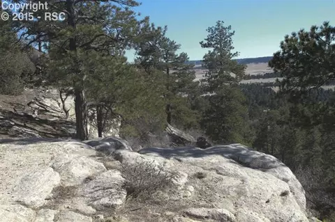18956 Smokey Pine Rd, Peyton, CO 80831 photo 18
