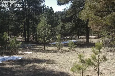 18956 Smokey Pine Rd, Peyton, CO 80831 photo 8