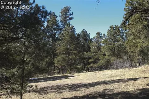 18956 Smokey Pine Rd, Peyton, CO 80831 photo 11