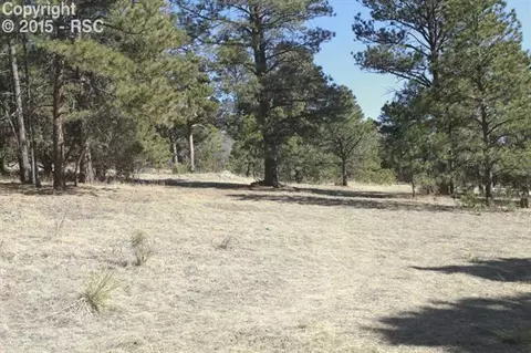 18956 Smokey Pine Rd, Peyton, CO 80831 photo 6
