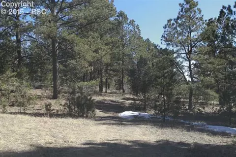 18956 Smokey Pine Rd, Peyton, CO 80831 photo 4