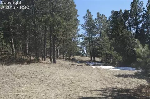 18956 Smokey Pine Rd, Peyton, CO 80831 photo 3