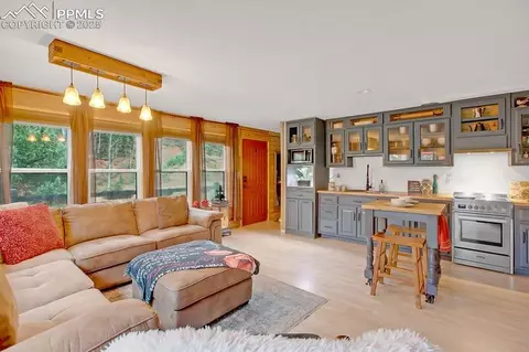 361 Willow Rd, Divide, CO 80814 photo 19