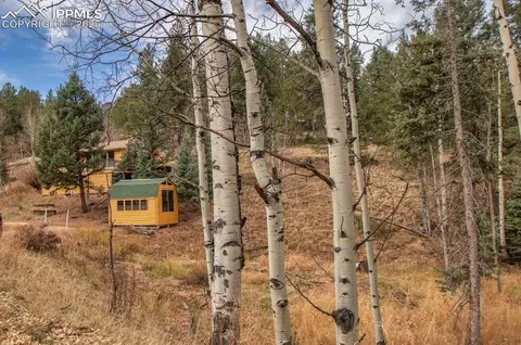 361 Willow Rd, Divide, CO 80814 photo 11