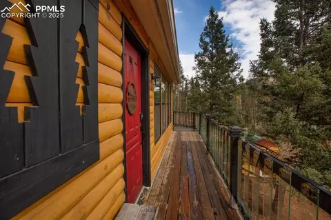 361 Willow Rd, Divide, CO 80814 photo 8