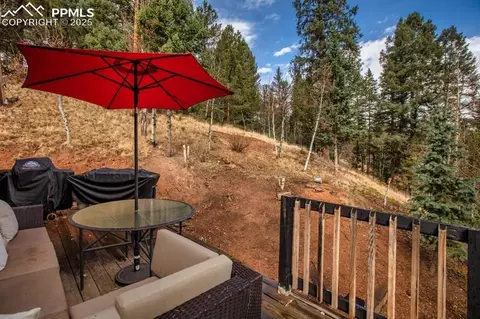 361 Willow Rd, Divide, CO 80814 photo 7