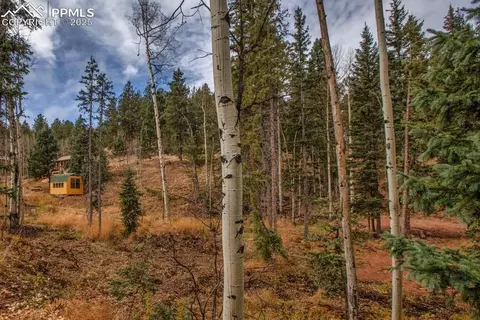 361 Willow Rd, Divide, CO 80814 photo 26