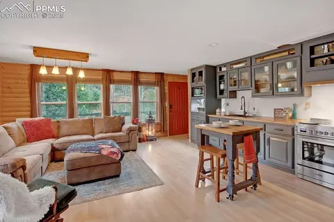 361 Willow Rd, Divide, CO 80814 photo 13